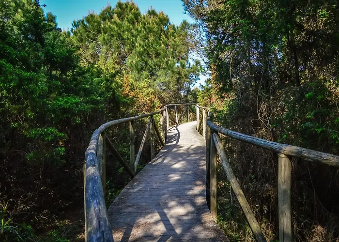 Fully Renovated Flat For 4 In Rosolina Mare